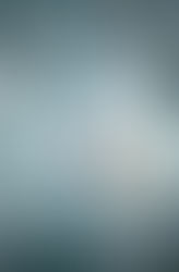 The Frozen River by Ariel Lawhon