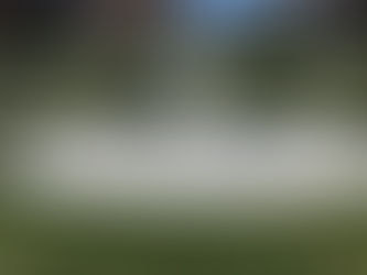 "Vintage Plasma" is installed