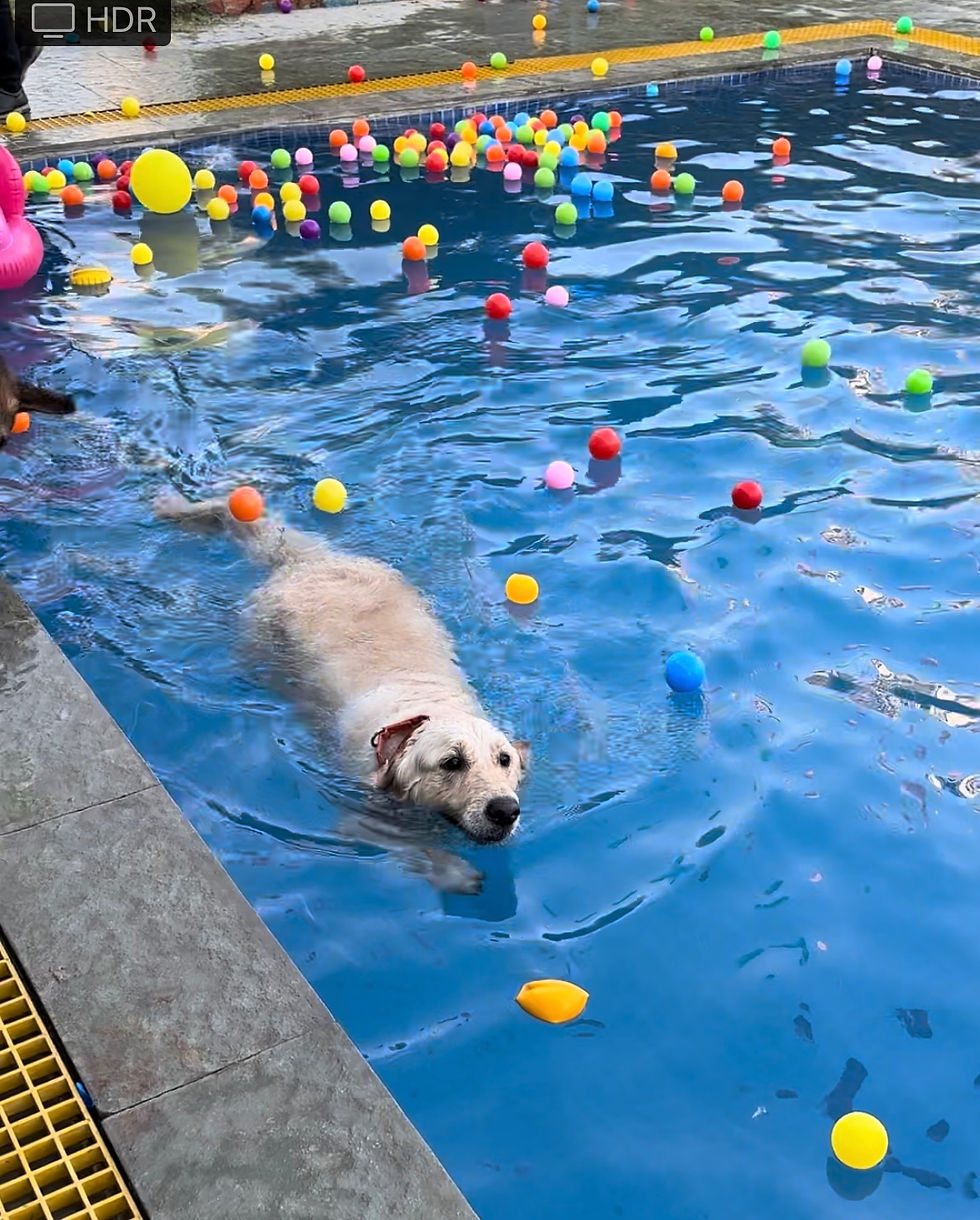 Pupparazzi: During Holi event