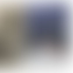 Vernissage de l’exposition annuelle de l’Académie des Beaux-Arts (La mémoire)