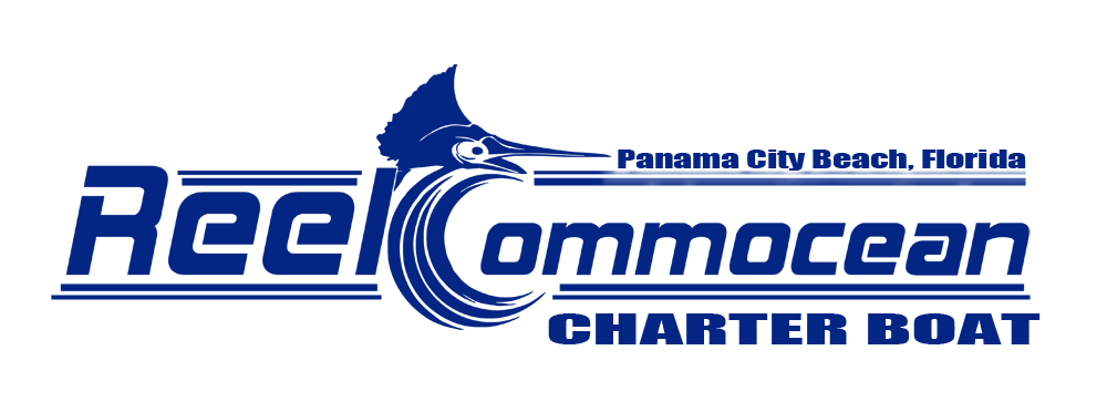 Reel-Commocean-Logo