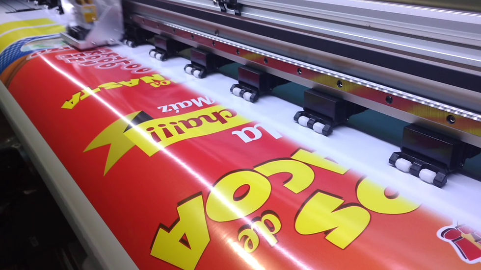 VINIL IMPRESO