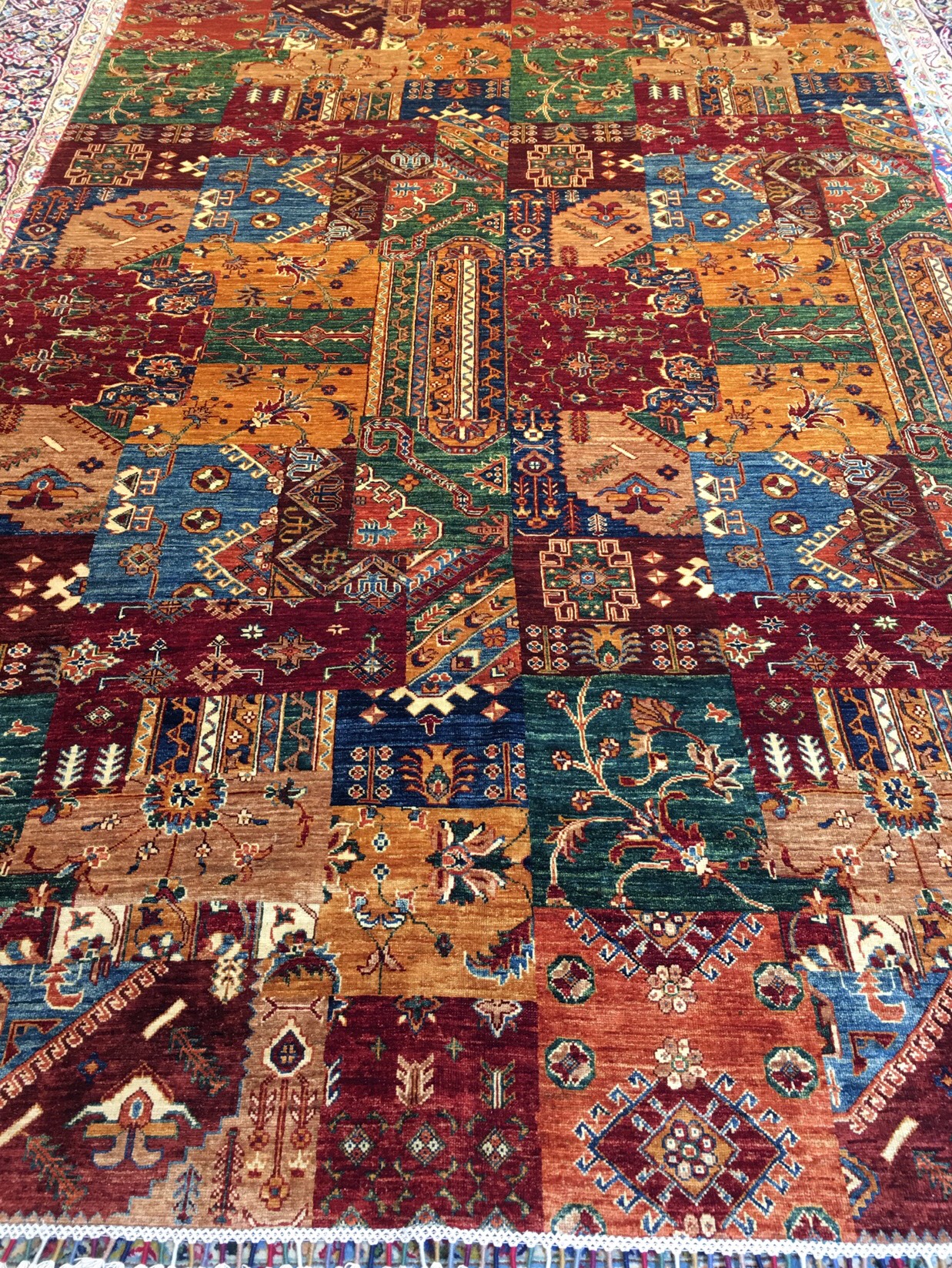 afghan