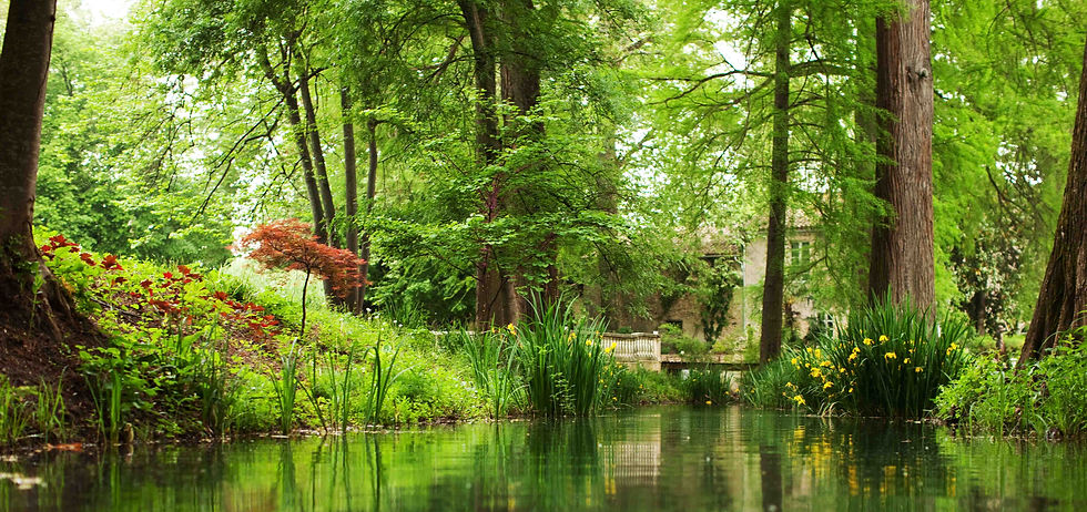 park