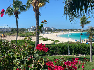 grace-bay-beach-coral-gardens.jpeg