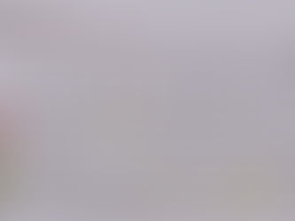 The Martyrology of the Monastery of the Ascension