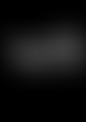 무릎단어집3 ㅡ형용사201~398