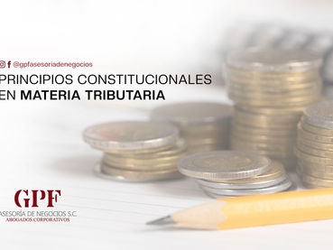 Principios constitucionales en materia tributaria