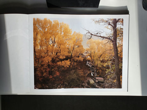 Reading Week - Understanding the work of Joel Sternfeld and John Davies