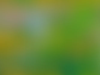 Nostalgia – My Father’s Serene Symphony