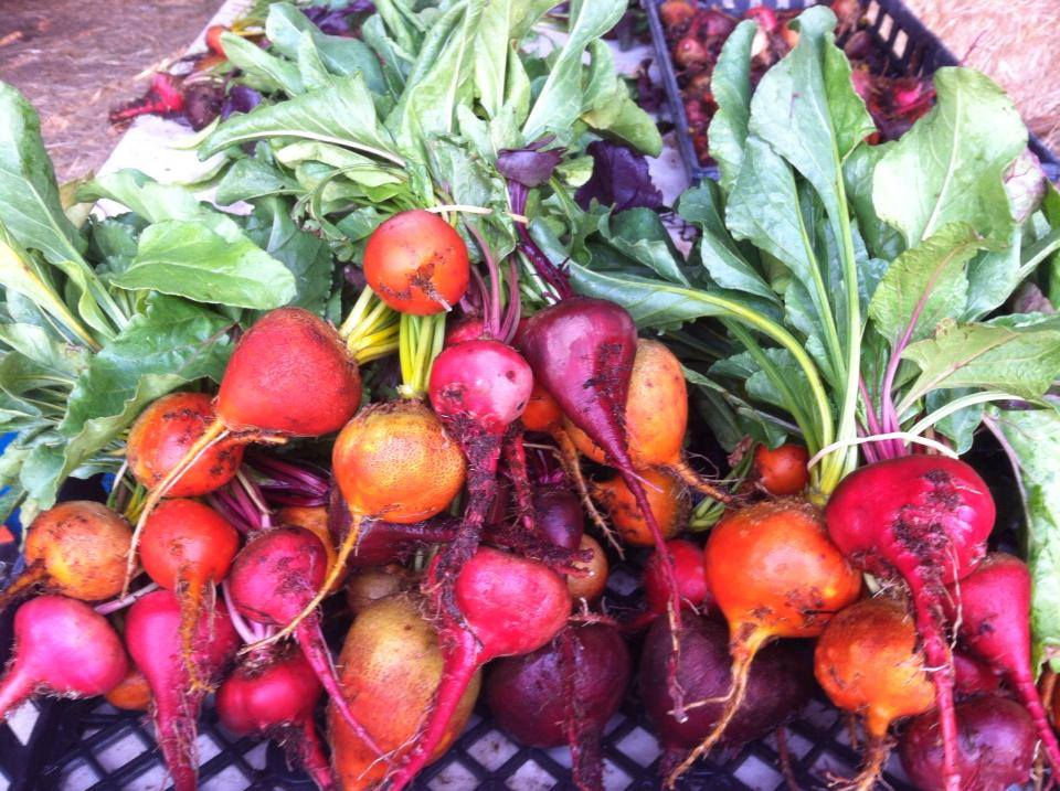 Radish