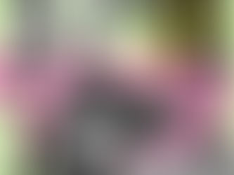 17/04 - Le Chant des Pierres @ La Bouchure, Theneuille (03)