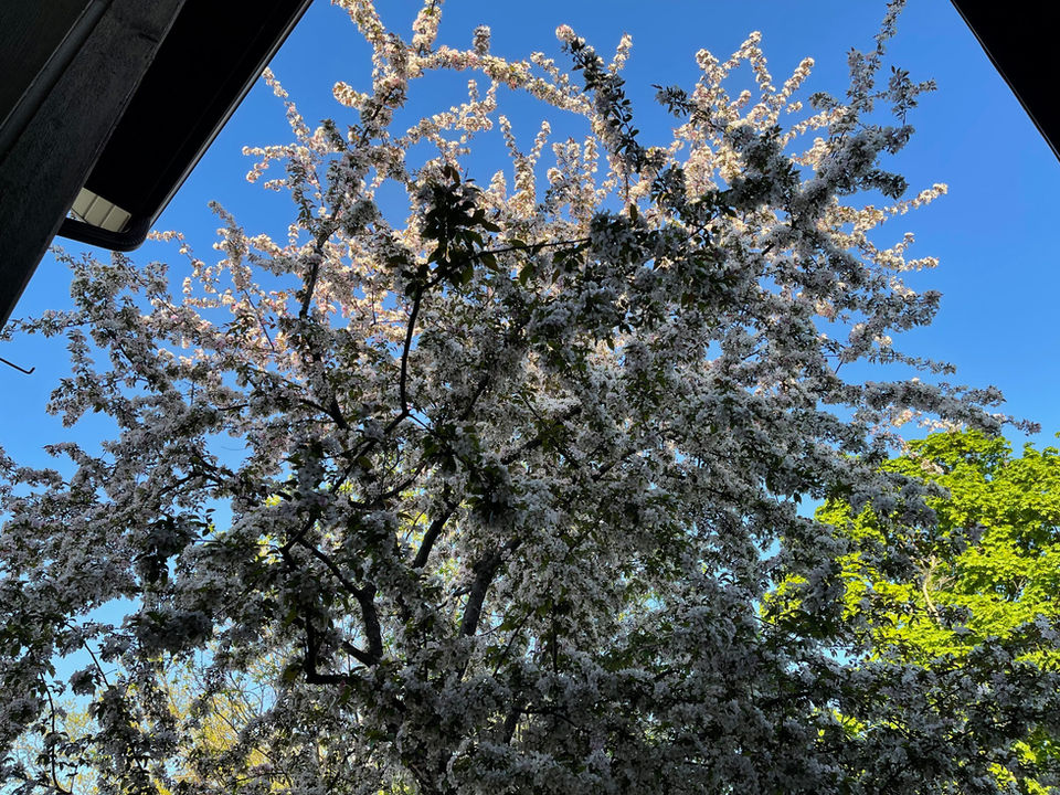 IMG_2147.jpeg