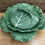 Thumbnail: Cabbage 2L Tureen - Bordallo Pinheiro