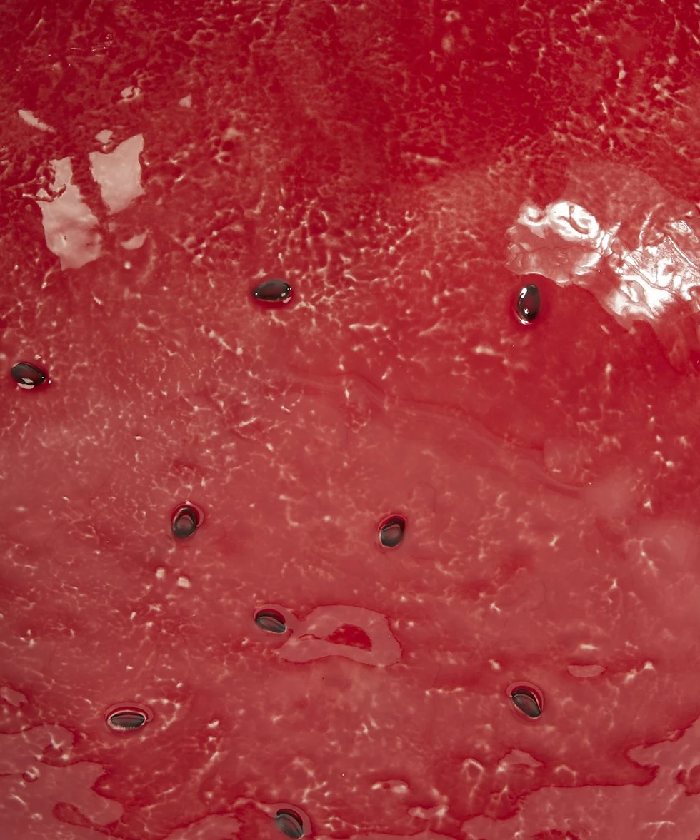 Thumbnail: Watermelon Platter 45 - Bordallo Pinheiro