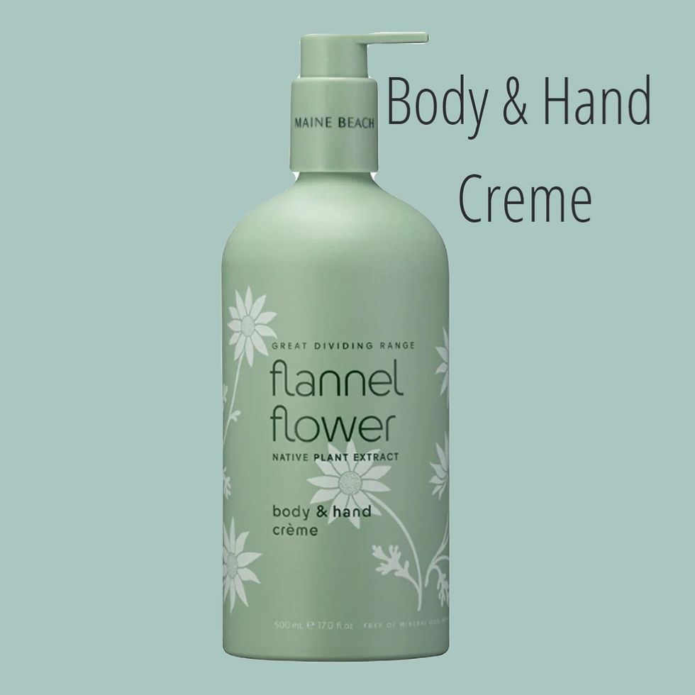 Thumbnail: Great Dividing Range Flannel Flower Maine Beach Collection