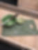 Sage Terrazzo Stone Serving Board