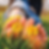 Ayurvedic Foot Massage
