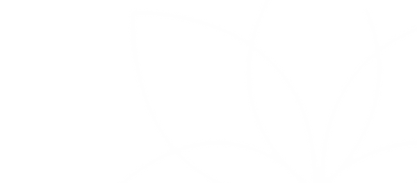 Lost Lotus Media Sign (Facebook Cover)-4.png