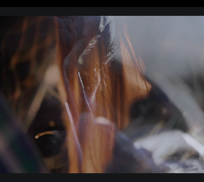 Screenshot 2025-10-08 at 9.33.41 PM.png