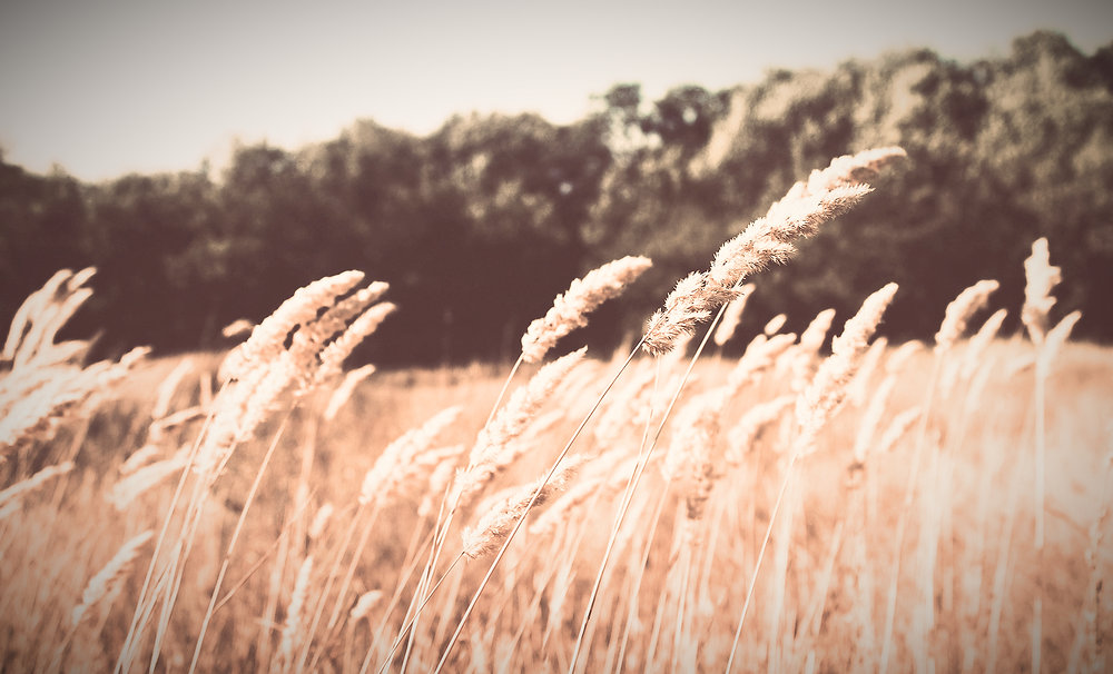 Breaking the Cycle: Releasing the Grip of Generational Patterns in ...