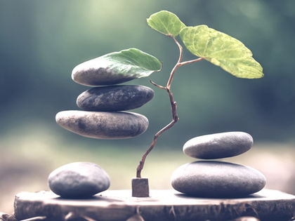 Exploring the Enigmatic Nature of the Doshas: Unraveling the Unknown