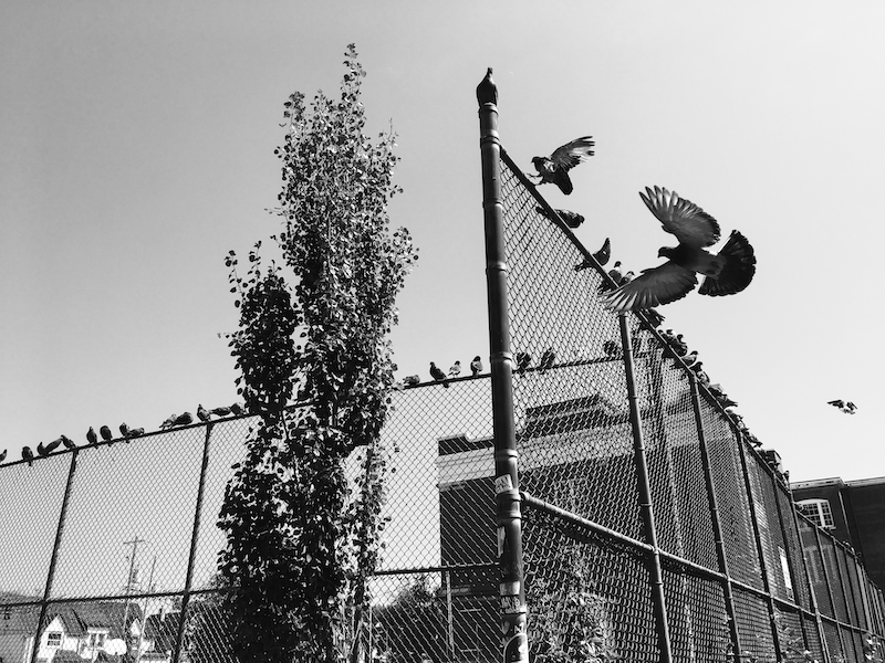 RESIZED forWEBIMG_6523.TIF