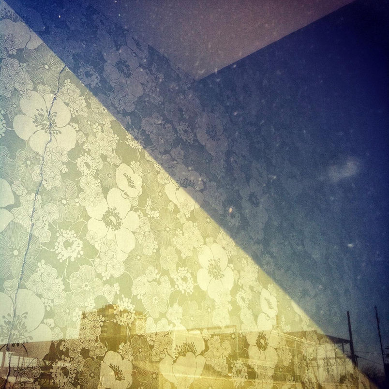 James Erdeg - Floral Wallpaper Through Window - Windsor - 2014