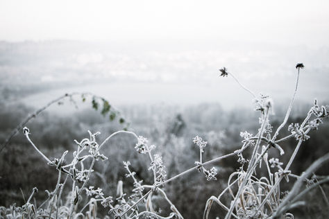 Spring begins somewhere