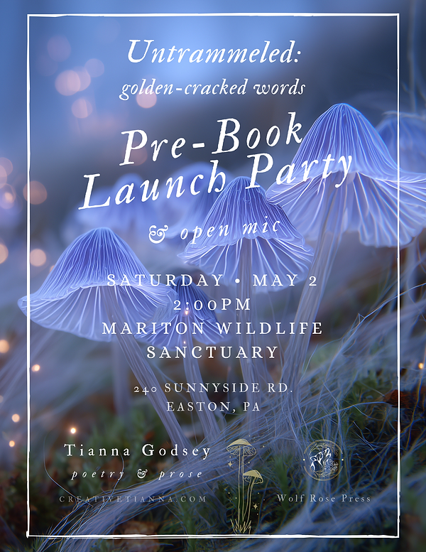Book Launch flyer (1).png