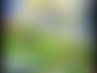 Туз Пентаклей