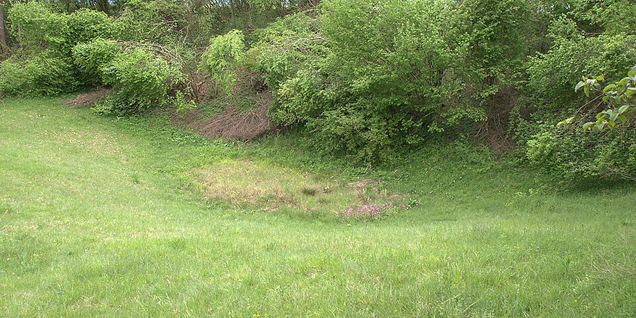 A photo of a glacial kettle