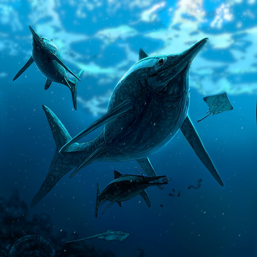 A drawing of Maiaspondylus
