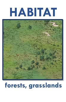 habitatsmioceneforest.jpg