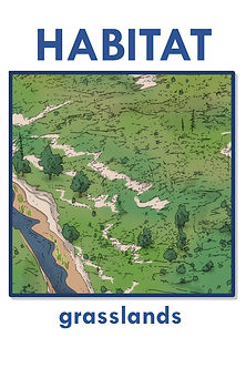 habitatgrasslandweb.jpg