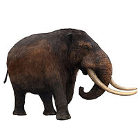mastodonnewupdate.jpg