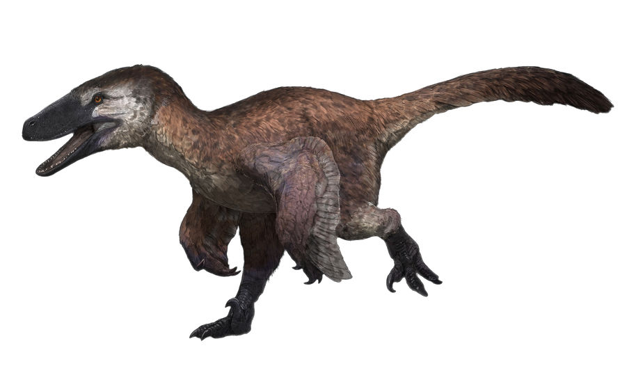 a step in the process of drawing a deinonychus, step 10, add details