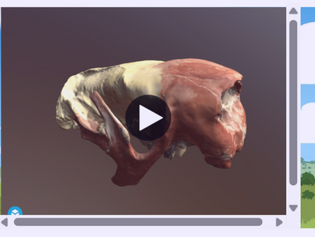 Update: Pleistocene 3D Models