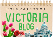 blogvictoria2.gif
