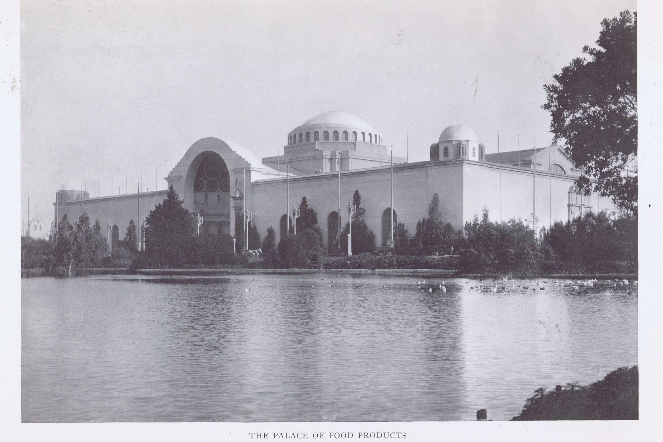 ratio3x2_2300 (14).jpg