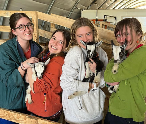 Goat farm visit