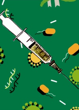 Screenshot 2025-10-12 105922.png