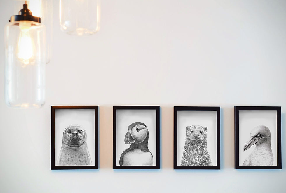 Thumbnail: Gannet Mini Print