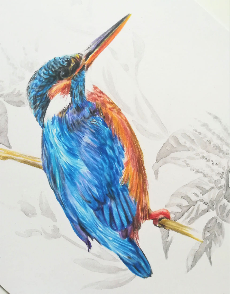 Thumbnail: Kingfisher and Knotweed Print
