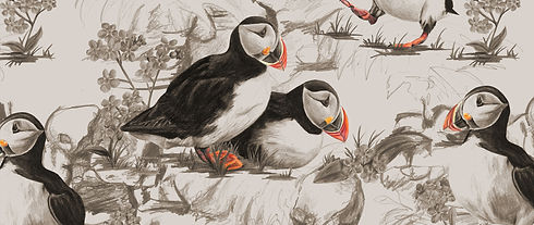 Puffin Print marked_edited.jpg