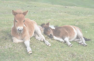 DSC_0122 (1)_edited.jpg