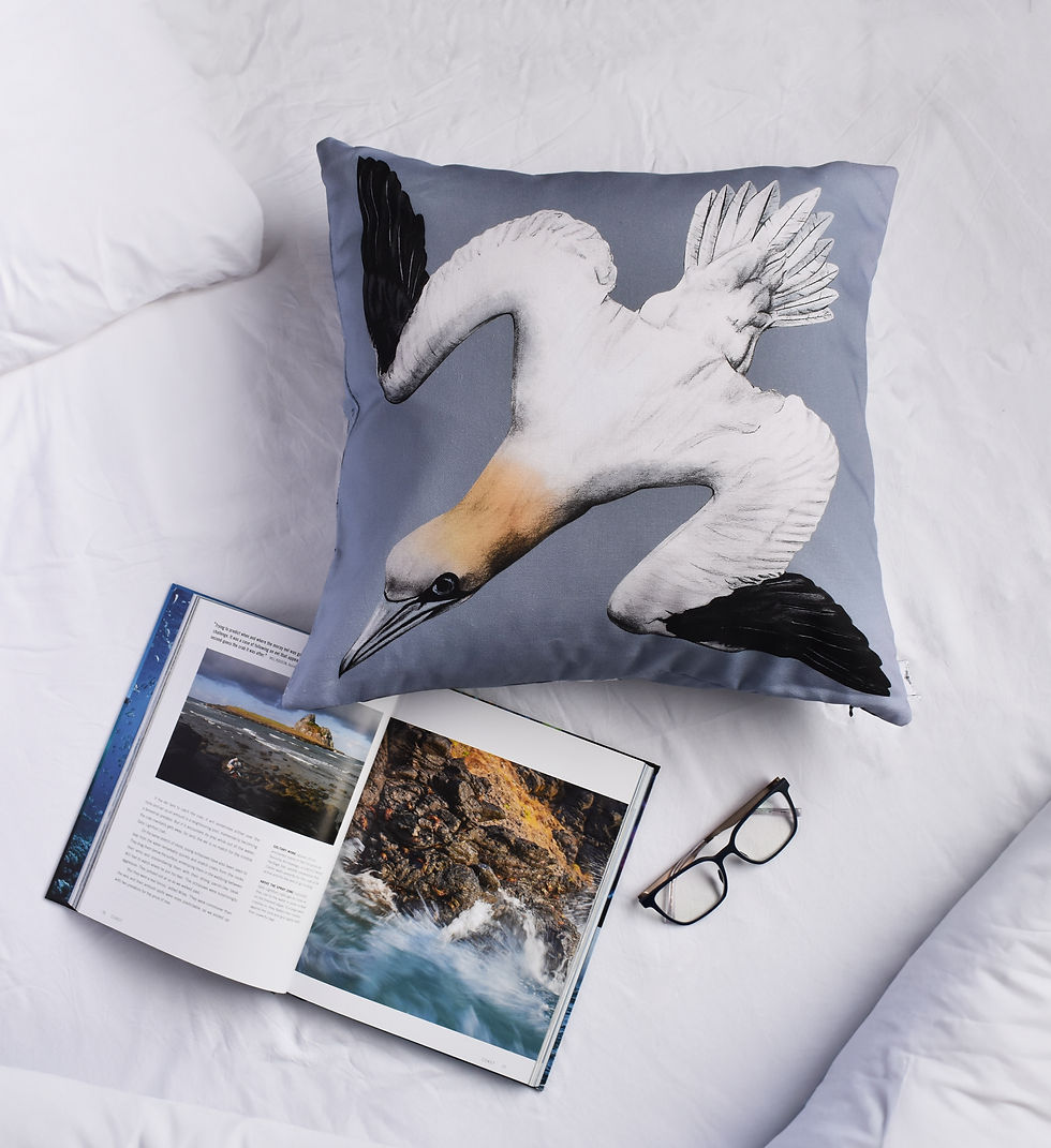Thumbnail: Solan Cotton Cushion
