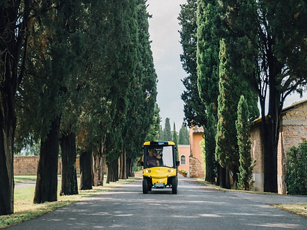 _DSC7619 (1)_edited_edited_edited_edited_edited.png