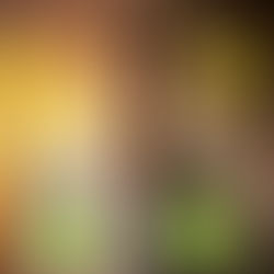 NURSING UP LANCIA LA CAMPAGNA #OLTREILSORRISO: DIETRO OGNI OSTETRICA, UNA STORIA CHE MERITA DI ESSERE ASCOLTATA E RACCONTATA