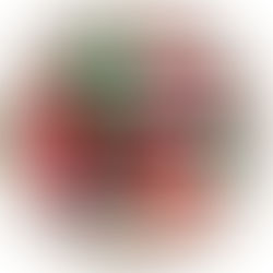 AUSTRALIA, FOAD AODI (CO-MAI-AISC NEWS): Strage a Sydney durante Hanukkah, 15 morti e decine di feriti a Bondi Beach: “Condanniamo questi orrori”